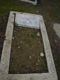 image of grave number 595834